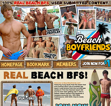 Beach Boy Friends